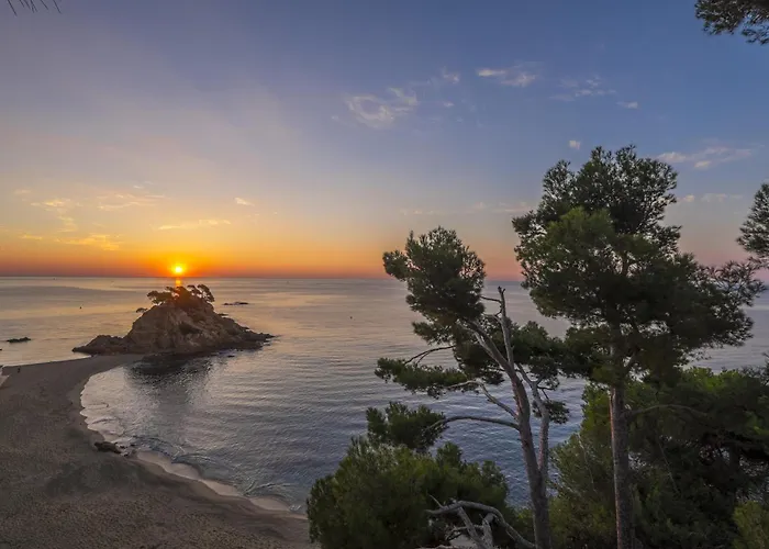 Park San Jorge & By Escampa 4* Платжа-д'Ару